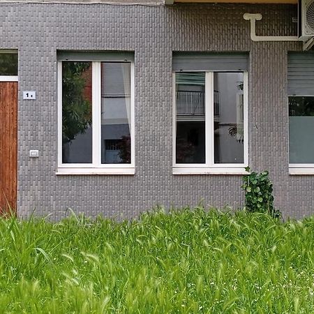 Il Roseto Di Cremona, Luminoso Monolocale Indipendente Διαμέρισμα Εξωτερικό φωτογραφία